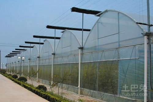 匠心筑夢(mèng)，花開(kāi)滿(mǎn)棚——優(yōu)質(zhì)花卉鋼架大棚廠家推薦指南