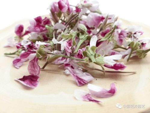 西班牙Innoflower 以全球最多樣食用花卉，編織每周?chē)?guó)際花訊